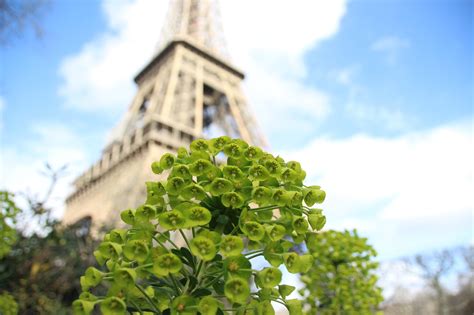 Menara Eiffel Paris Arsitektur Foto Gratis Di Pixabay Pixabay