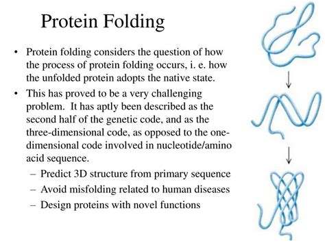 PPT - Protein Stability Protein Folding Chapter 6 PowerPoint Presentation - ID:247839