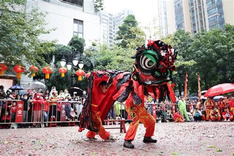 张灯结彩气氛浓 石牌村醒狮贺元宵