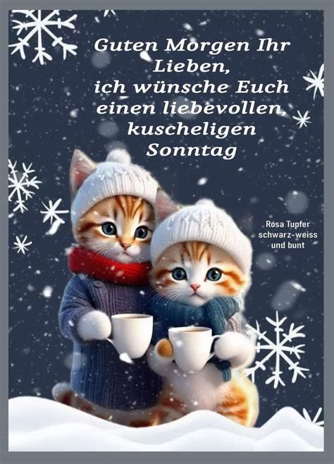 Pin Von Lucy Auf Sonntag Guten Morgen Bilder Weihnachten Lustige