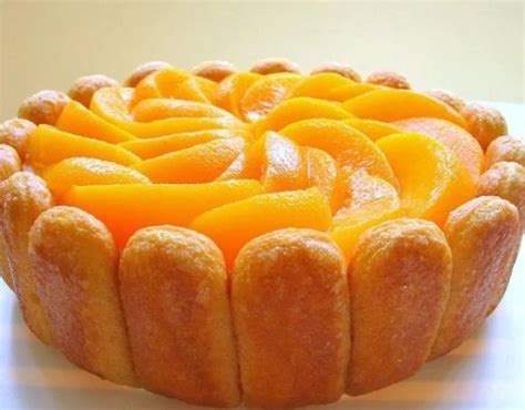 Ten of the Very Best Charlotte Cake Recipes and How to Make Them