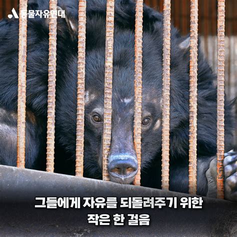 동물자유연대 사육곰의 내일이 달라질 수 있도록 국회 시사회에 함께해주세요