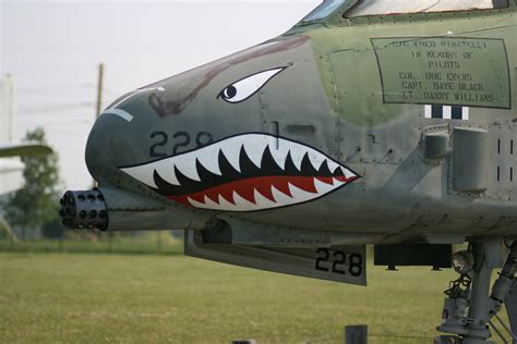 A-10 Warthog nose art shot | On display at the Grissom Air M… | Flickr