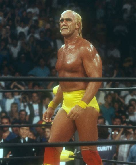 Hulk Hogan, 1994, Photo By John Barrett (Hulk Hogan3558) Poster Print ...