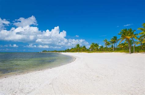 Pristine Places For Snorkeling In Florida Florida Trippers