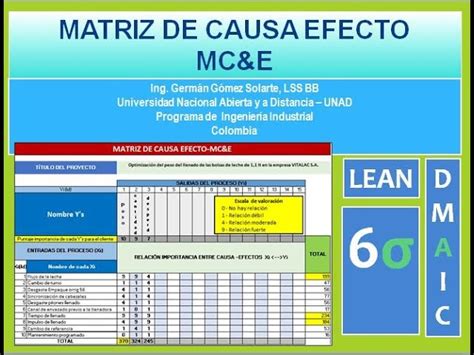 Matriz Causa Y Efecto Excel Mini