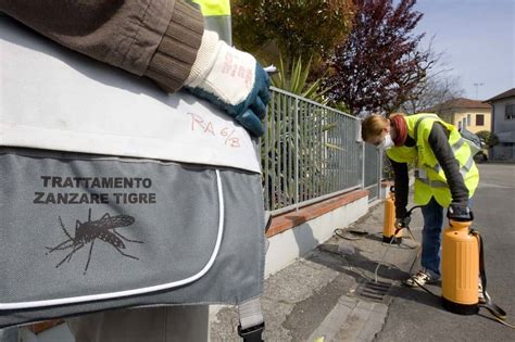 Servizio Di Disinfestazione Zanzare E Zanzare Tigri Venezia