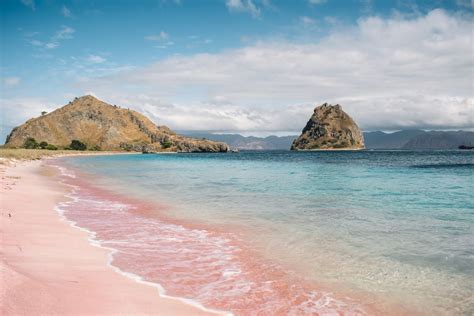 11 Unique Things To Do In Flores Indonesia Artofit