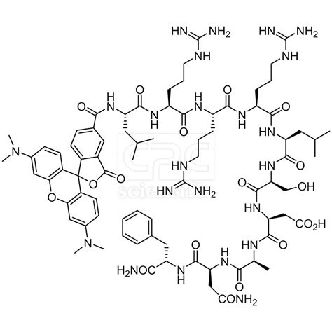 Synapsin I Derived Peptide TAMRA Labeled CPC Scientific