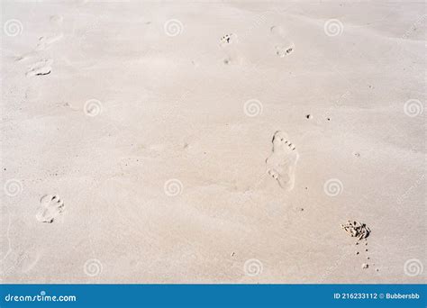 Textura Fondo Huellas De Pies Humanos En La Arena Cerca Del Agua En La