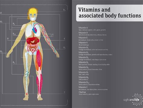 Function Of Vitamins What Are Vitamins And Minerals Bioanalyt