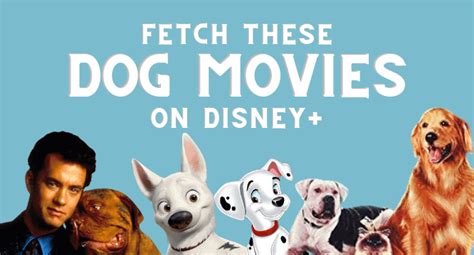 Best Dog Movies on Disney+ That Scratch The Itch - Inside the Magic