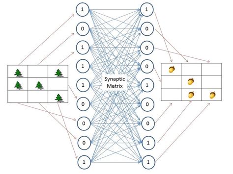 A Simple Two Layer Neural Network Model That Associates An Input