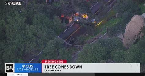 Downed Tree Blocks Canoga Park Road CBS Los Angeles