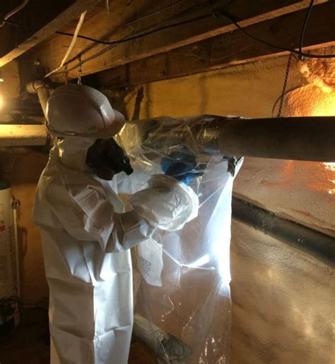 Asbestos Abatement Environmentall