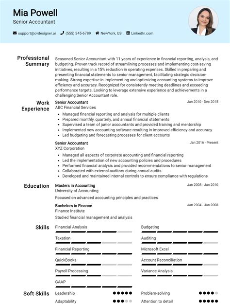 Senior Accountant CV Example For 2024 How To Create A Professional CV