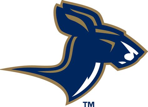 Akron Zips Alternate Logo Ncaa Division I A C Ncaa A C Chris