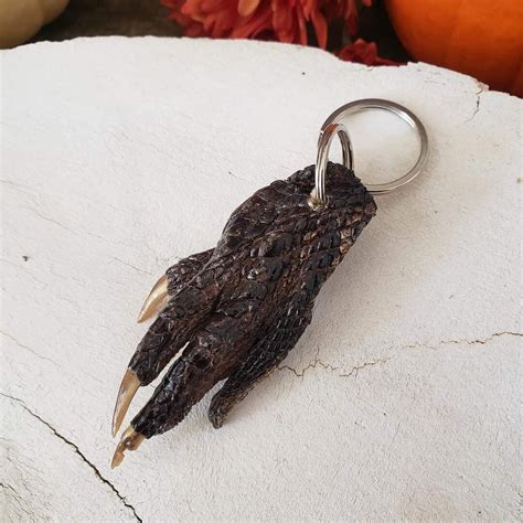 Real Alligator Gator Foot With Claws Keychain Oddities - Etsy