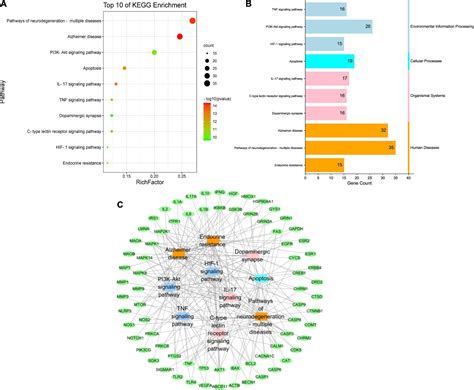 Frontiers Network Pharmacology Analysis Reveals Neuroprotective