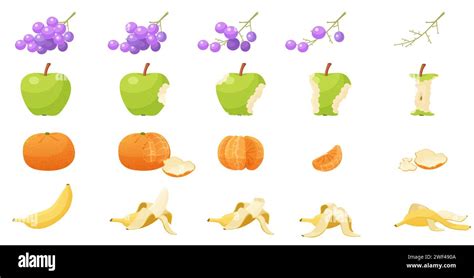 Animated steps of eating banana with peel from whole to disappear, red apple and grapes on ...