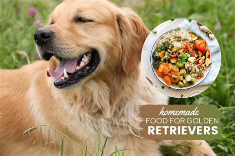 The Ultimate Golden Retriever Homemade Dog Food Guide - Canine Bible