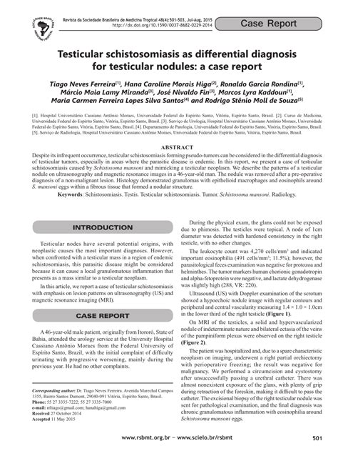 PDF Testicular Schistosomiasis As Differential Diagnosis For