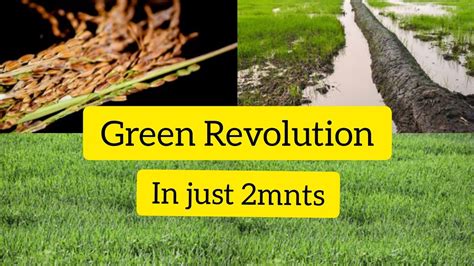 What Is Green Revolution Achievement Of Green Revolutionmost Important Master Smita Youtube