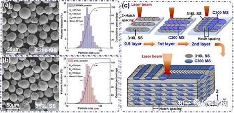 增材顶刊《am》：增材制造具有分层相的体素化高强高韧异质结构金属材料！ 知乎