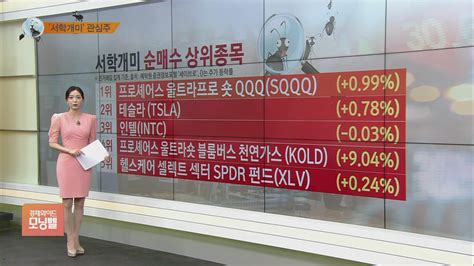 서학개미 뭐샀나 나스닥100 지수 하락하면 3배 수익 Sqqq 인기 여전