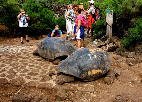 Galapagos National Park: A UNESCO World Heritage Site ⋆ Galapagos ...