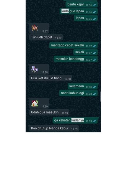 8 Chat Netizen Bantu Tangkap Kuda Ini Bikin Tepuk Jidat Hot Liputan6
