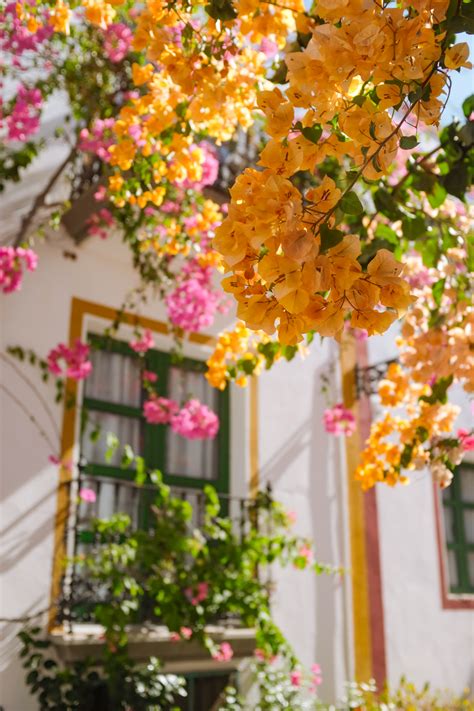 Colorful Gran Canaria – Gregory Gioro