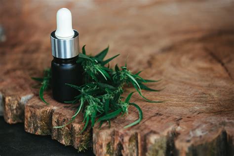 Cannabis in cosmetics. Properties of hemp cosmetics.