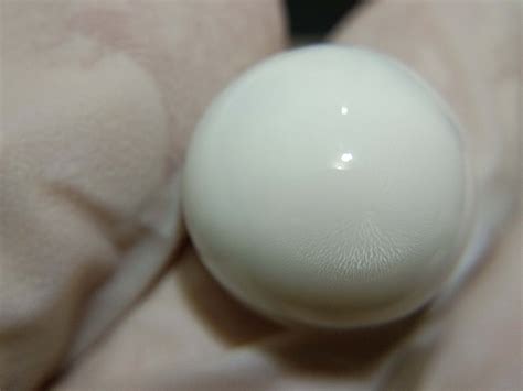 2709carat Natural Tridacna White Clam Pearl Round Grade Aa Etsy