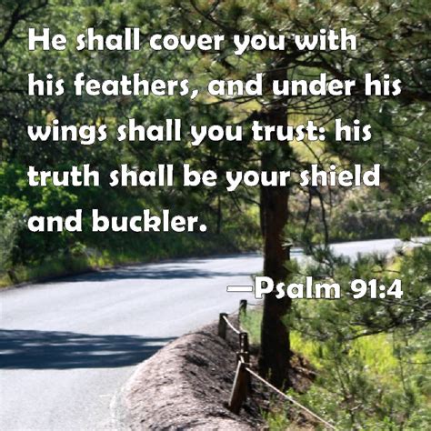 Psalm He Shall Cover You With His Feathers And Under His Wings