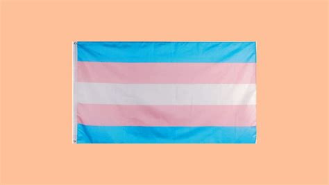 Pride Parade 2023: What Gay Pride flag designs mean