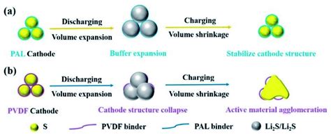 Stabilizing Cathode Structure Via The Binder Material With High