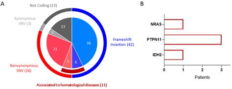 Ijms Free Full Text Comprehensive Molecular Profiling Of Npm1