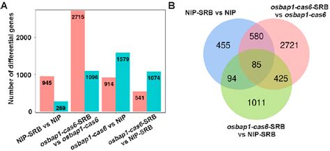 Figure 1 From A Rice Receptor Like Protein Negatively Regulates Rice