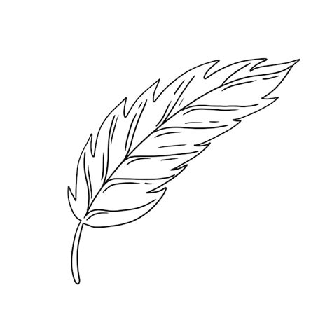 Premium Vector Leaf In Doodle Style Vector Illustration Natural Plant