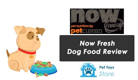 Now Fresh Dog Food Review - Best Reviews 2024