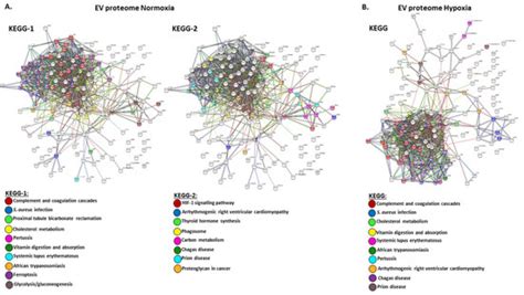 IJMS Free Full Text Acute Hypoxia Alters Extracellular Vesicle