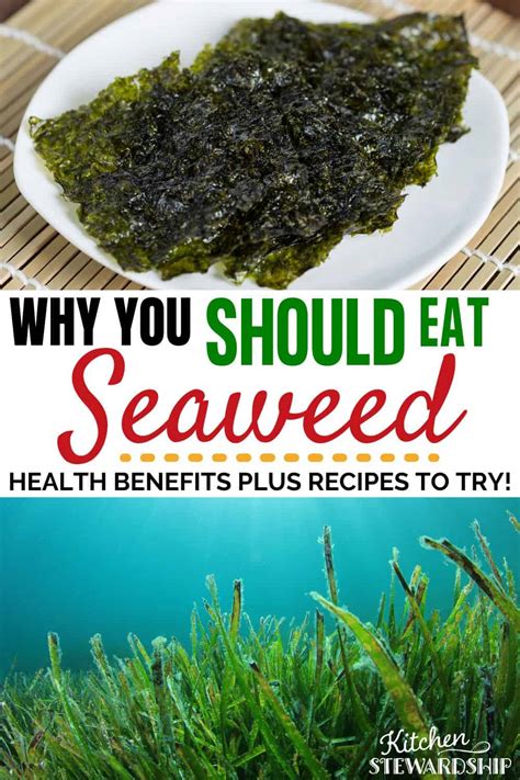 Beginners Guide to Culinary Seaweed | Kitchen Stewardship