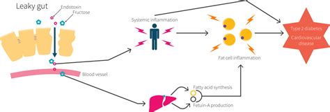 Fructose vs Glucose vs HFCS | Examine.com