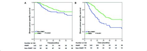 Breast Cancer Specific Survival Bcss Curves For All Patients With