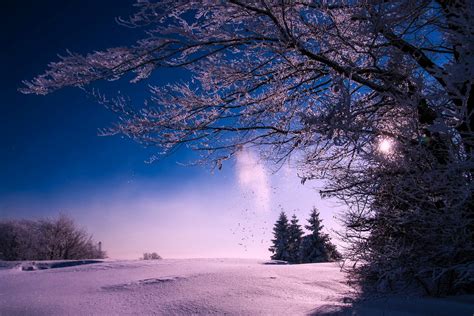 Winter Night Photos, Download The BEST Free Winter Night Stock Photos ...