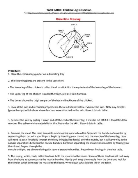 Chicken Leg Dissectiontaskcard Pdf