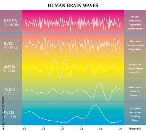 Ondes Cérébrales Humaines Diagramme Illustration Couleurs Arc en
