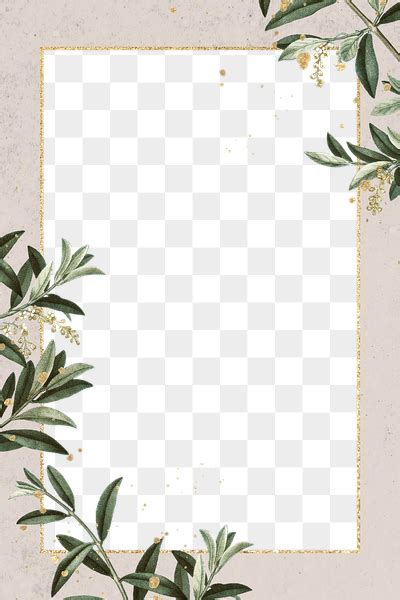 Olive Branches Frame Png Hand Premium Png Rawpixel