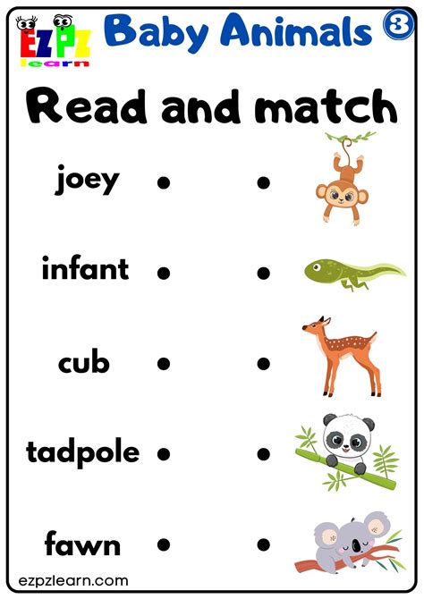 Baby Animals Vocabulary Read and Match Activity for English Language ...